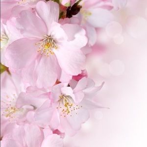 Meet your Posher, Nique